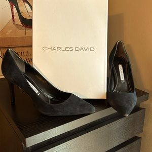 Charles David navy blue suede spike heels.